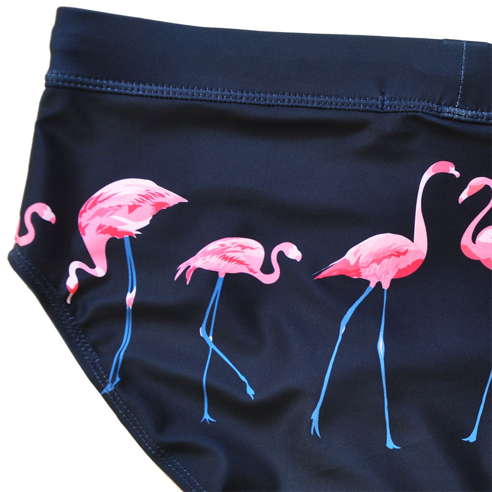 Flamingo Romance Swim Briefs