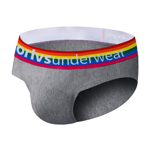 Orlvs Pride Grey Briefs – mbo - Men's Underwear & Apparel
