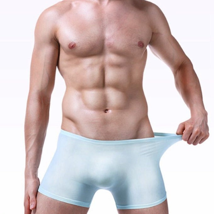 NEW! New Fabric - Icy Silk Boxers (Pack of 4)