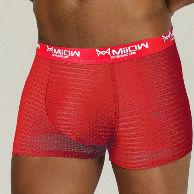 MiiOW Void Mesh Boxers – mbo - Men's Underwear & Apparel