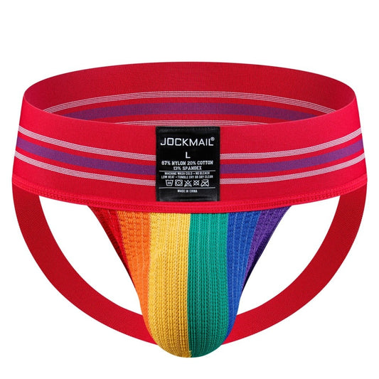 Rainbow Mankini Jockstrap V Shape Suspender Bodysuit Thong Gay Pride  Underwear